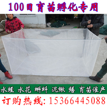 100-mesh breeding rice field eel Loach spawning pond oviposition hatching seedling fish cage fish water flower cage
