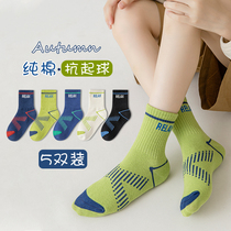 Childrens socks pure cotton 3-5-7-9-12 - 15 year old children in the childrens children sports baby stockings in college