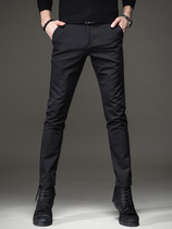Clara Lee joint autumn business trousers mens straight Korean version of the trend slim feet loose casual trousers