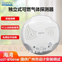 Gulf GST-BT001M Point Type Combustible Gas Detector New