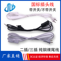 Pure copper core national standard black white transparent High power two-core three-core 6A 10A with switch power cord plug