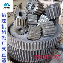 Conveyor accessories gear motor reduction gear conveyor belt cast steel external gear synchronous wheel belt straight tooth transmission wheel
