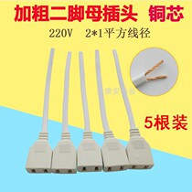 220V monitoring power supply two-pin female plug national standard pure copper with wire two-hole female socket extension cord to the connector bold
