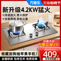 WANJIANGJIANGKA021 gas stove Gas stove double stove Embedded natural gas stove Liquefied gas stove Desktop household