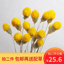 Yunnan dried flowers Dried berries dried flowers handmade DIY net red small bouquet wild small fresh flower arrangement home decoration