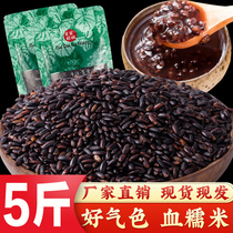 Blood glutinous rice 5kg of new rice Northeast black glutinous rice sticky glutinous rice grains rice coarse grain rice black sticky rice porridge porridge