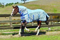 Summer anti-mosquito mesh horse clothing warm blood large size anti-mosquito horse clothing
