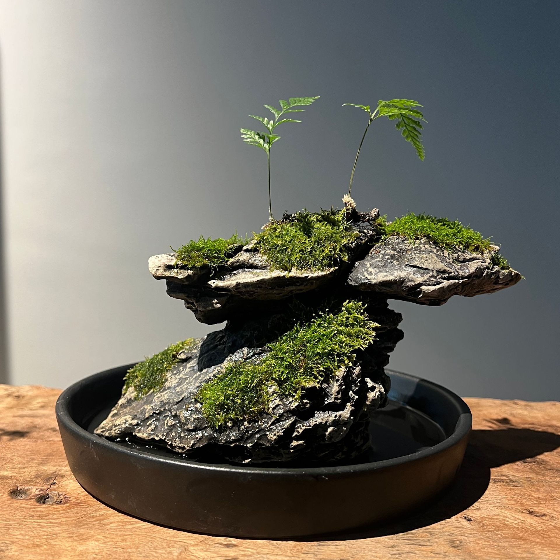 玉石花盆景 石細工 花盆栽 ガラスケース付き 硬石彫刻 天然石 玉石 フラワー 天然盆景花玉石工艺品-天然盆景花玉石工艺品促销价格、天然盆景花玉石