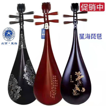 Xinghai Practice pipa 8911 Professional performance rosewood pipa Chicken wing wood pipa Xinghai childrens pipa 8901