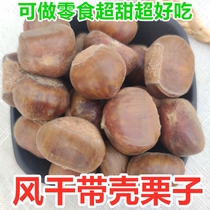 Air-dried chestnuts with Shell snacks raw chestnuts Qianxi fresh raw chestnut wild oil chestnut dried chestnut dried chestnut