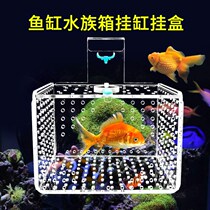 Fish tank isolation box protection small fish suspension acrylic aquarium breeding box large and small Peacock fighting fry hatching