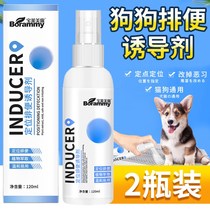 Dogs on the toilet Toilet Inducers Dog Bowels Defecation Training Toilet Fluid Pets Pee Urine Pull Poop Poop Poop Potty Potty Potty Potty Potty Potty Potty Potty Potty Poo