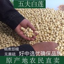 Wufu white lotus seeds 500g dry goods Super Fujian Wuyi handmade smoked sulfur fresh delicious through core without core
