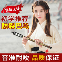 Bawu musical instruments for primary school students Vertical blow professional performance g-tone f-tone Childrens adult beginners introduction to single wind instruments