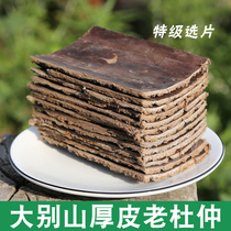 100g Eucommia Chinese herbal medicine soup raw Eucommia ulmoides bark Eucommia Eucommia powder Eucommia Eucommia Eucommia