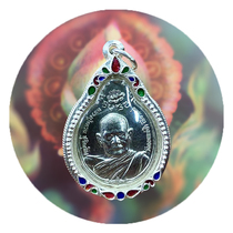 Domestic spot 2521 forest pailongpo yuan itself contains a variety of shell and identification kabeiye workshop