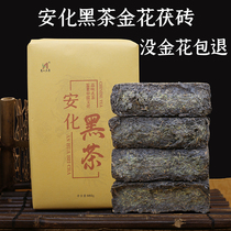 Black tea Hunan Anhua black tea authentic hand-built gold flower Fu brick tea Anhua black tea non-grade Volt tea