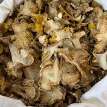 Anguo Chinese herbal medicine market batch golden hair Dog Ridge 1000 grams