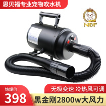 NBF high-power pet blower black king kong 2800w large dog cat professional silent heating quick-drying blower