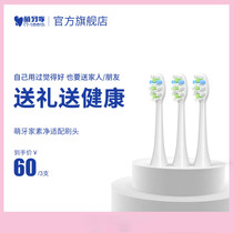(Adapted to the pure Series) mteeth Meng Ya home original replacement brush head 3 sets