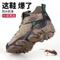 Hummer hiking shoes mens waterproof non-slip high-top hiking shoes winter light sports shoes women wear-resistant mountain climbing outdoor shoes