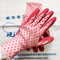 Wave Dot Pattern Ravens Oven Oven Heat Insulation Long Gloves Anti Slip Rubber Gloves Air Brother-in-law Empty less Breakfast gloves High temperature resistant
