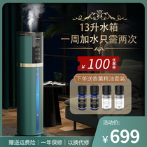 American Westinghouse air humidifiers Home bedrooms large spray baby pregnant woman muted floor room Upper water