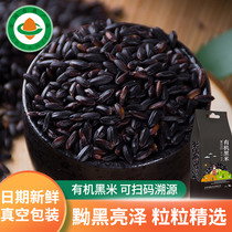 Northeast new black rice 2 pounds of grains Heilongjiang farmers produce their own organic black fragrant rice five grains whole grain black rice porridge