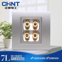 Chint Electric 86 steel frame switch socket panel NEW7L gentleman silver four-hole audio socket