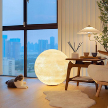 Creative net red ins wind lamp modern simple living room dining room floor lamp bedroom bedside lamp moon lamp table lamp