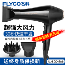 Feike hair dryer high power 3000W hair stylist home barber shop negative ion hair care 9000W hair salon dedicated