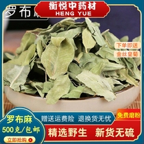 Apocynum leaf Chinese herbal medicine 500g apocynum tea Xinjiang apocynum leaf tea wild fresh apocynum