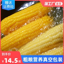 Fresh yellow glutinous corn sticky sweet sticky black corn cob whole grain breakfast selection vacuum packaging 5 a whole box