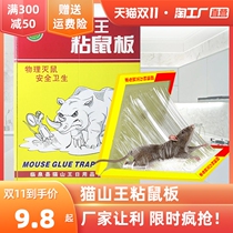 Musang King sticky mouse board mouse sticker to catch sticky big sticky glue to catch rodent mouse trap home warehouse school 10 packs
