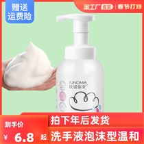 Hand sanitizer foam type bubble mild for children pregnant women household bubble hand sanitizer moisturizing cleaning 300ml