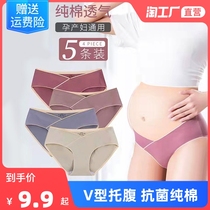 Pregnant womens underwear Womens pure cotton crotch early in the middle and early stage special underwear big code No marks for low waist toodies