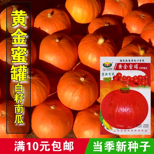 Золотая медапот Красная кожа белые семена тыквы семена овощей и овощи.