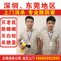 Shenzhen Dongguan rodent control company door-to-door elimination of four pests professional anti-arrest rat service insect cockroach termites