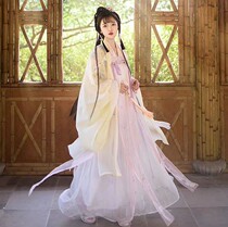Wei Jinfeng Ancient Clothing Hanfu Traditional Hanfu Womens Clothing Large Sleeve Cardiothoric Dress Traditional Hanfu Womens Clothing