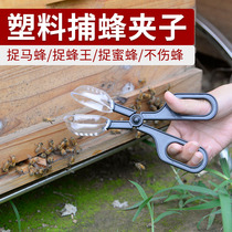 Capture bee bee bee bee in the wild special tool to catch bee bee catch bee catch cage