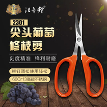 Wang Wuquan Scissors Shuguo scissors Comb fruit artifact Gardening scissors Alice head scissors Elbow scissors Grape thin fruit scissors Fruit picking scissors