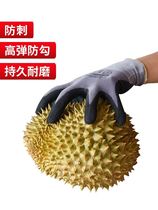 Chestnut anti-tie gloves anti-puncture picking chestnut flower garden pruning cactus wear-resistant outdoor protection thickening