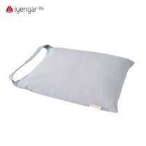 Iyengar Life yoga aids and sizes sandbags Beginner Exercises to assist heavy objects to relax muscle promotion