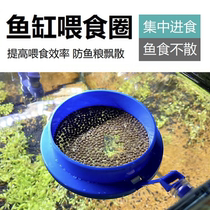 Fish tank fish feeding circle small fish guppies feeding ring floating fish food feeding ring feeding ring feeding ring feeder