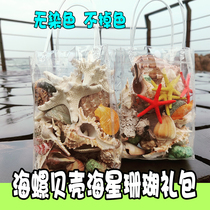 Natural conch shells starfish coral fish tank landscaping aquarium decorations beach toys children gift specimens