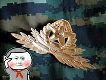 14 golden large winged instrument of honor guard metal large hat emblems