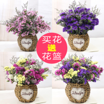 Send basket Yunnan Natural dried bouquet forget-me-not all over the Sky star real flowers cheng jin sell living room home decoration decoration