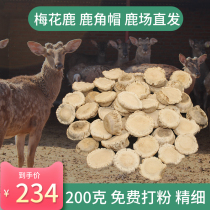  Sika deer antler cap powder Jilin pure antler cap powder The whole caring breast plugging nodules