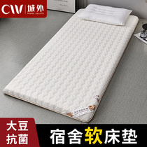 Student mattress pad Dormitory single summer thin section rental special floor mat Sleeping mat Foldable mat quilt mattress