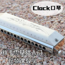 clock harmonica novice beginner zero-based system introduction Online teaching Video music course